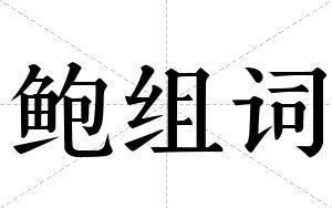 鲍组词