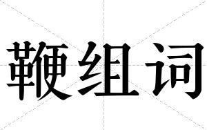 鞭组词