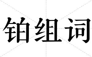 铂组词