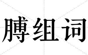 膊组词